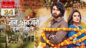 Jaane Anjaane Hum Mile Written Update 24 February 2025