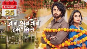 Jaane Anjaane Hum Mile Written Update 25 February 2025