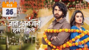 Jaane Anjaane Hum Mile Written Update 26 February 2025